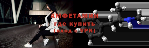 стаф Алзамай