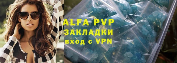 стаф Алзамай