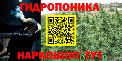 индика Белорецк