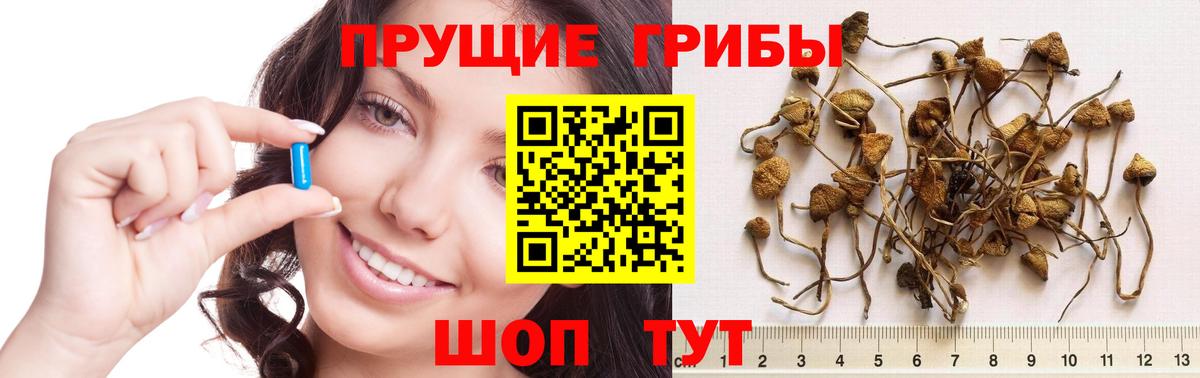 Галлюциногенные грибы мицелий Уварово